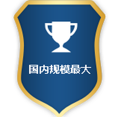 描述